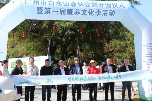 增城这个丛林公园认真开园！多个款式同步运行→